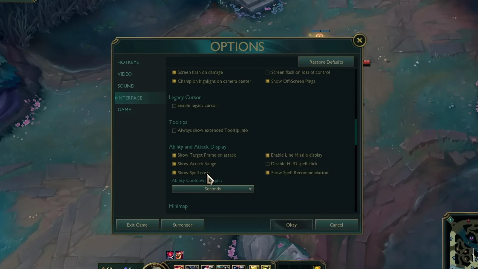 LoL Interface Ability and Attack Display options with Show Spell costs and cooldown display in seconds