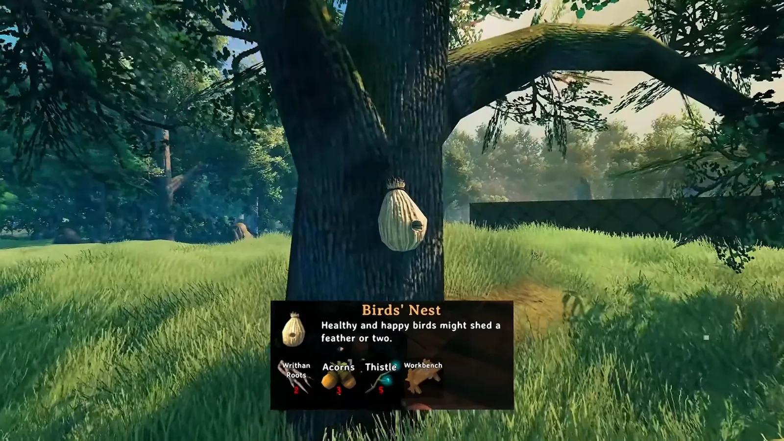 Birds' Nest build piece tooltip on a Meadows tree in Valheim 1.0, producing feathers