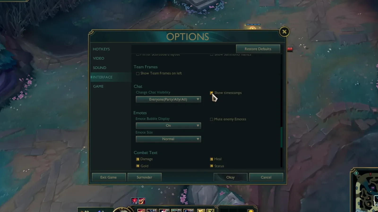 LoL Interface Chat options with Show timestamps being ticked