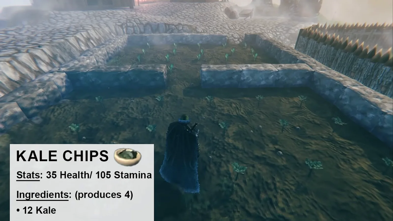 Kale farm in Valheim with the Kale chips card: 35 health and 105 stamina from 12 Kale